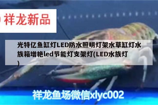 光特億魚缸燈LED防水照明燈架水草缸燈水族箱增艷led節能燈支架燈(LED水族燈) 光特億魚缸燈LED防水照明燈架水草缸燈水族箱增艷led節能燈支架燈(LED水族燈) 光特億