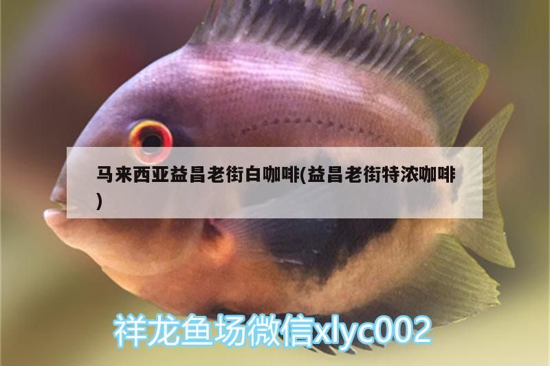 馬來西亞益昌老街白咖啡(益昌老街特濃咖啡) 馬來西亞益昌老街白咖啡(益昌老街特濃咖啡) 馬來西亞咖啡