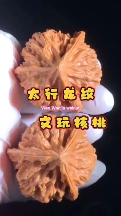 太行龍紋文玩核桃 太行龍紋文玩核桃 龍魚論壇