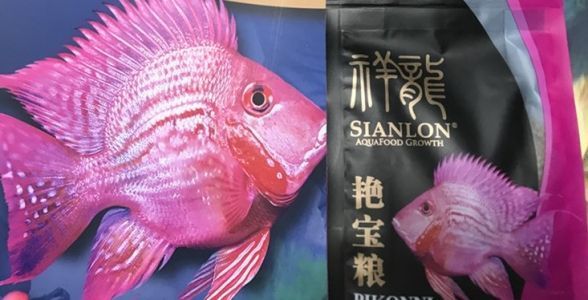 詳細(xì)閱讀:元寶鳳凰魚艷寶糧:專為元寶鳳凰魚打造的營(yíng)養(yǎng)魚糧,助力魚兒色彩斑斕、健康成長(zhǎng) 元寶鳳凰魚艷寶糧:專為元寶鳳凰魚打造的營(yíng)養(yǎng)魚糧,助力魚兒色彩斑斕、健康成長(zhǎng)