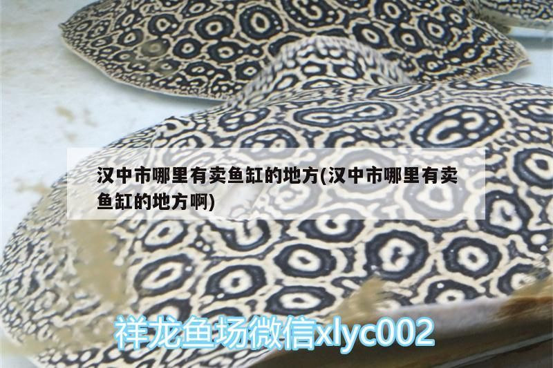 漢中市哪里有賣魚缸的地方(漢中市哪里有賣魚缸的地方啊) 漢中市哪里有賣魚缸的地方(漢中市哪里有賣魚缸的地方啊) 錦鯉魚百科