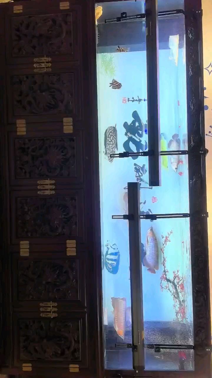 原子光盒以上 原子光盒以上 龍魚論壇