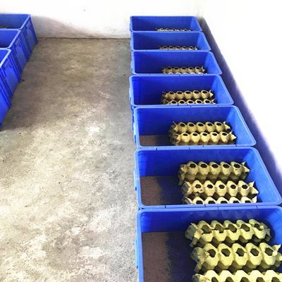 紅龍魚飼料防潮實用工具：紅龍魚飼料的防潮實用工具 紅龍魚飼料防潮實用工具：紅龍魚飼料的防潮實用工具 紅龍魚百科 第3張