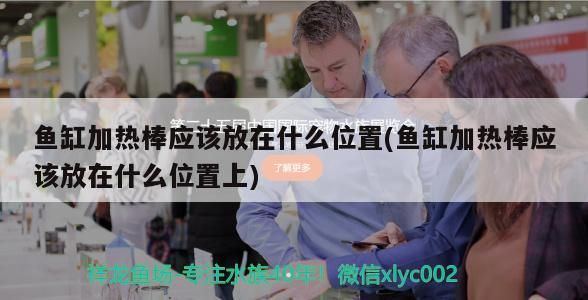魚缸加熱棒應該放在什么位置(魚缸加熱棒應該放在什么位置上)
