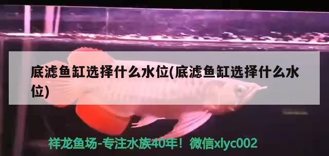 底濾魚缸選擇什么水位(底濾魚缸選擇什么水位)