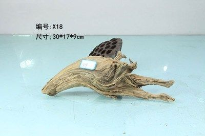 30x20x18魚缸：30x20x18魚缸尺寸30x20x18魚缸尺寸360問答 30x20x18魚缸：30x20x18魚缸尺寸30x20x18魚缸尺寸360問答 魚缸百科 第4張