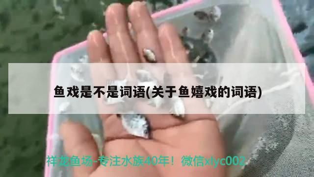 魚缸過濾器選購指南:自制魚缸過濾器魚缸上置過濾器對于養魚愛好者的必備知識 魚戲是不是詞語(關于魚嬉戲的詞語) 速倍妥魚糧魚藥 魚戲是不是詞語(關于魚嬉戲的詞語) 魚戲是不是詞語(關于魚嬉戲的詞語) 速倍妥魚糧魚藥