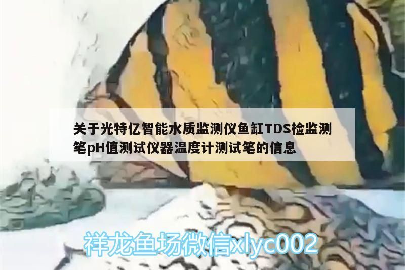 關(guān)于光特億智能水質(zhì)監(jiān)測儀魚缸TDS檢監(jiān)測筆pH值測試儀器溫度計測試筆的信息 關(guān)于光特億智能水質(zhì)監(jiān)測儀魚缸TDS檢監(jiān)測筆pH值測試儀器溫度計測試筆的信息 光特億