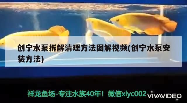 創寧水泵拆解清理方法圖解視頻(創寧水泵安裝方法)