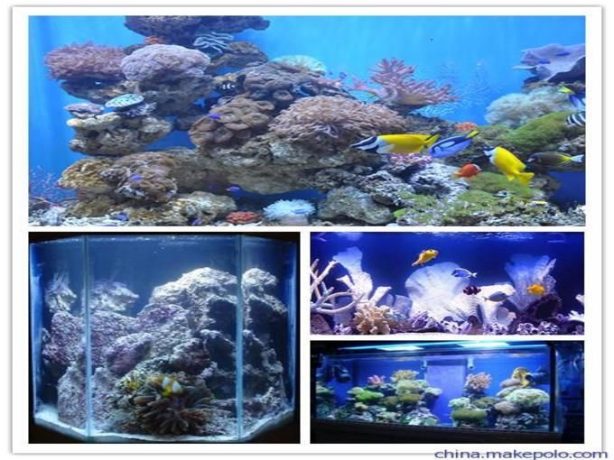 水族館魚缸多層制作視頻（如何制作一個多層水族館魚缸） 水族館魚缸多層制作視頻（如何制作一個多層水族館魚缸） 水族館百科（水族館加盟） 第1張
