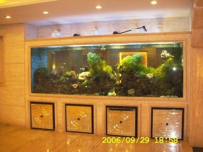 水族館魚缸多層制作視頻（如何制作一個多層水族館魚缸） 水族館魚缸多層制作視頻（如何制作一個多層水族館魚缸） 水族館百科（水族館加盟） 第2張