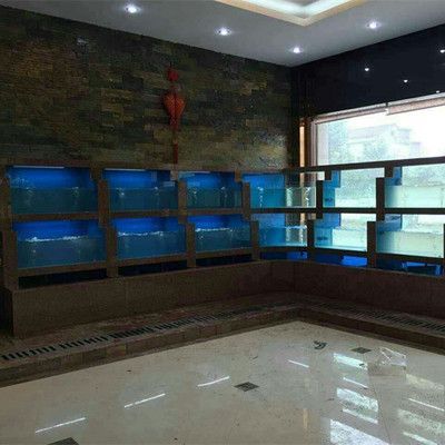 水族館魚缸多層制作視頻（如何制作一個多層水族館魚缸） 水族館魚缸多層制作視頻（如何制作一個多層水族館魚缸） 水族館百科（水族館加盟） 第4張