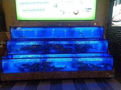 水族館魚缸多層制作視頻（如何制作一個多層水族館魚缸） 水族館魚缸多層制作視頻（如何制作一個多層水族館魚缸） 水族館百科（水族館加盟） 第5張