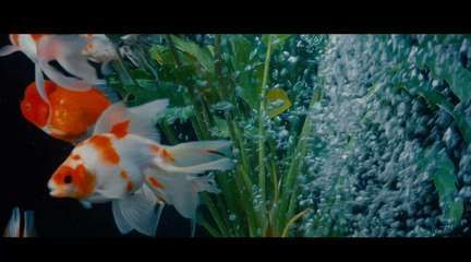 giea高逸魚缸：giea高逸桌面缸的優勢