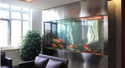 辦公室養魚有什么講究（辦公室養魚的風水原則）