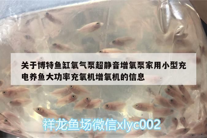 關于博特魚缸氧氣泵超靜音增氧泵家用小型充電養魚大功率充氧機增氧機的信息