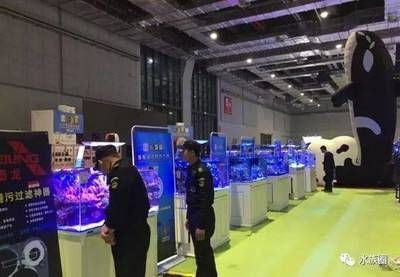 2024年水族展覽會(huì)：15.2024山東寵物水族展