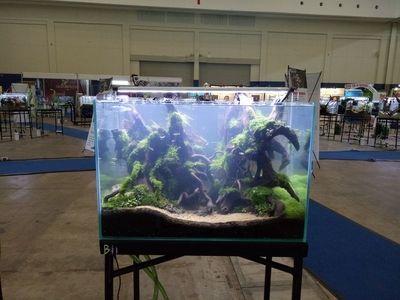 2024年水族展覽會(huì)：15.2024山東寵物水族展