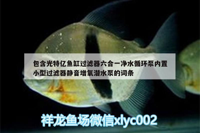 包含光特億魚(yú)缸過(guò)濾器六合一凈水循環(huán)泵內(nèi)置小型過(guò)濾器靜音增氧潛水泵的詞條 包含光特億魚(yú)缸過(guò)濾器六合一凈水循環(huán)泵內(nèi)置小型過(guò)濾器靜音增氧潛水泵的詞條 光特億