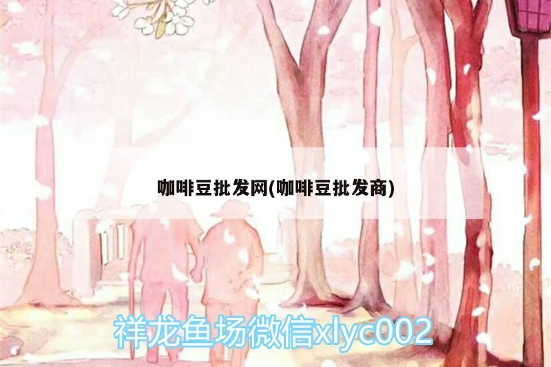 咖啡豆批發網(咖啡豆批發商)