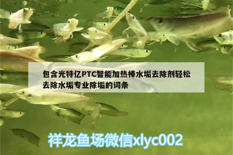 包含光特億PTC智能加熱棒水垢去除劑輕松去除水垢專業除垢的詞條