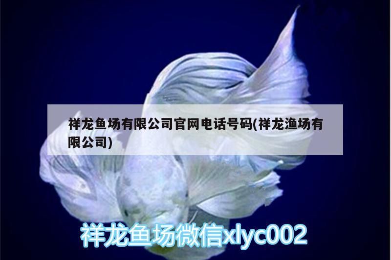 祥龍魚場有限公司官網(wǎng)電話號碼(祥龍漁場有限公司) 祥龍魚場有限公司官網(wǎng)電話號碼(祥龍漁場有限公司) vs祥龍魚場