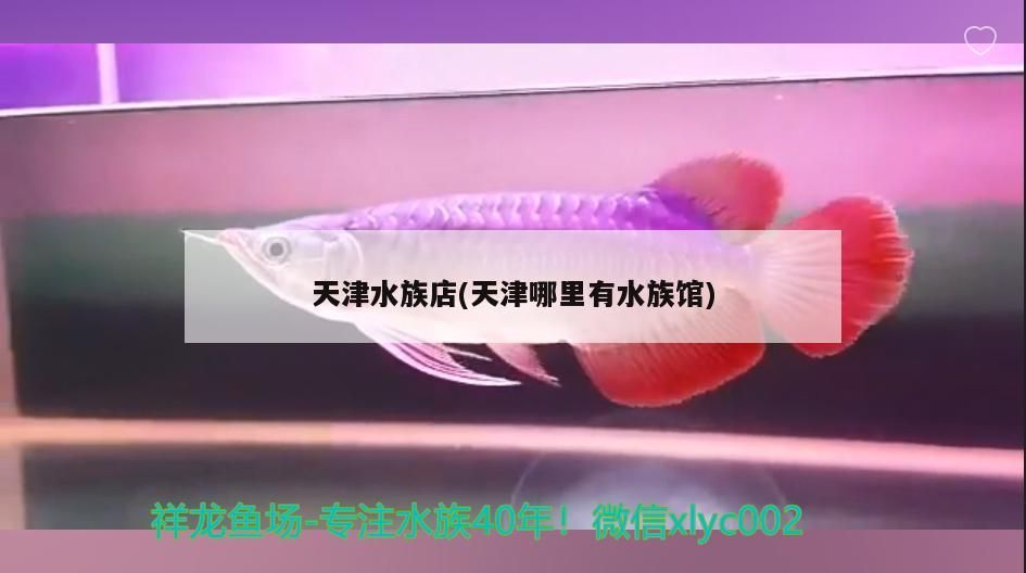 天津水族店(天津哪里有水族館)
