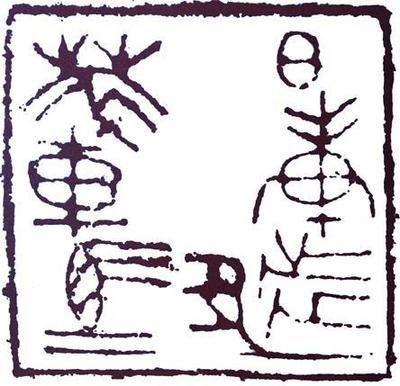 馬印神燈與其它燈區(qū)別是什么呢英語：馬印神燈與其他燈在多個(gè)方面有所區(qū)別 馬印神燈與其它燈區(qū)別是什么呢英語：馬印神燈與其他燈在多個(gè)方面有所區(qū)別 馬印水族 第4張