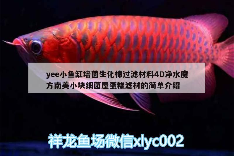 yee小魚缸培菌生化棉過濾材料4D凈水魔方南美小塊細菌屋蛋糕濾材的簡單介紹