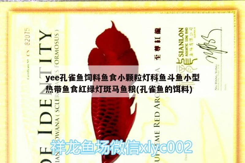 yee孔雀魚(yú)飼料魚(yú)食小顆粒燈科魚(yú)斗魚(yú)小型熱帶魚(yú)食紅綠燈斑馬魚(yú)糧(孔雀魚(yú)的餌料)