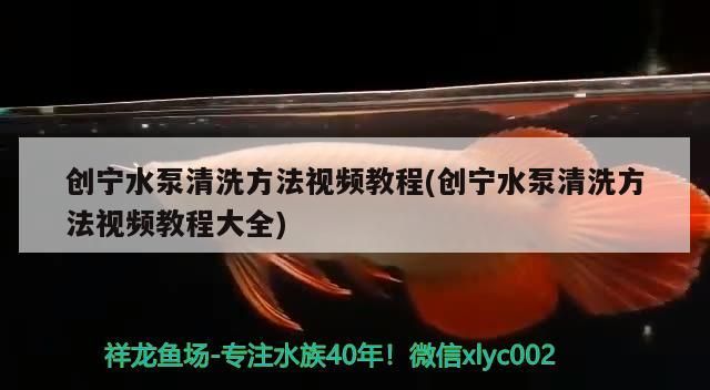 創寧水泵清洗方法視頻教程(創寧水泵清洗方法視頻教程大全)