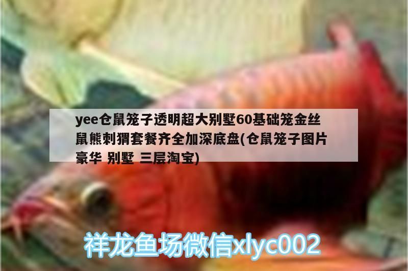 yee倉鼠籠子透明超大別墅60基礎籠金絲鼠熊刺猬套餐齊全加深底盤(倉鼠籠子圖片豪華別墅三層淘寶)