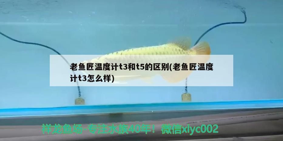 老魚(yú)匠溫度計(jì)t3和t5的區(qū)別(老魚(yú)匠溫度計(jì)t3怎么樣)
