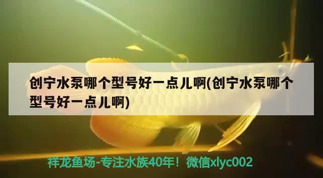 創寧水泵哪個型號好一點兒啊(創寧水泵哪個型號好一點兒啊) 創寧水族 第2張 創寧水泵哪個型號好一點兒啊(創寧水泵哪個型號好一點兒啊) 創寧水泵哪個型號好一點兒啊(創寧水泵哪個型號好一點兒啊) 創寧水族 第2張