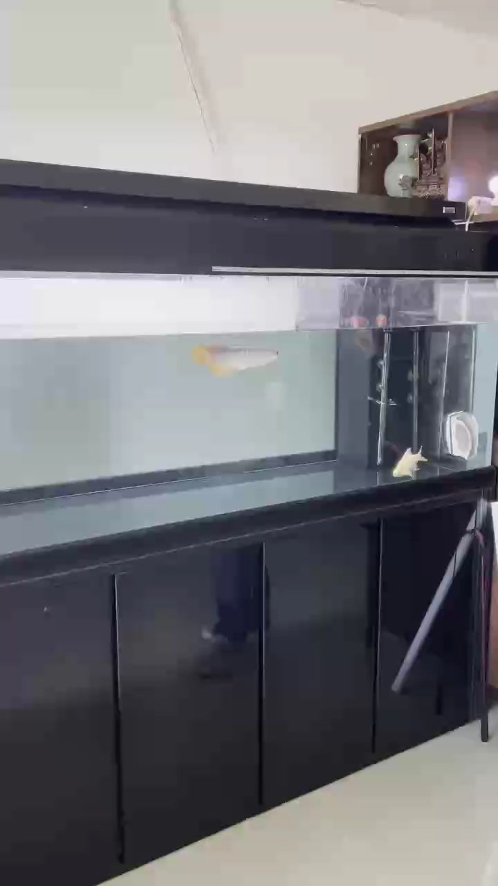 這狀態(tài)如何