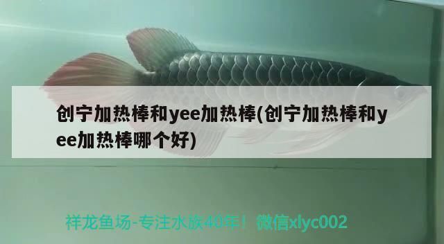 創寧加熱棒和yee加熱棒(創寧加熱棒和yee加熱棒哪個好) 創寧加熱棒和yee加熱棒(創寧加熱棒和yee加熱棒哪個好) yee