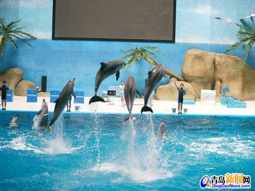 開(kāi)一個(gè)水族館掙錢(qián)嗎？：開(kāi)水族館的成本分析