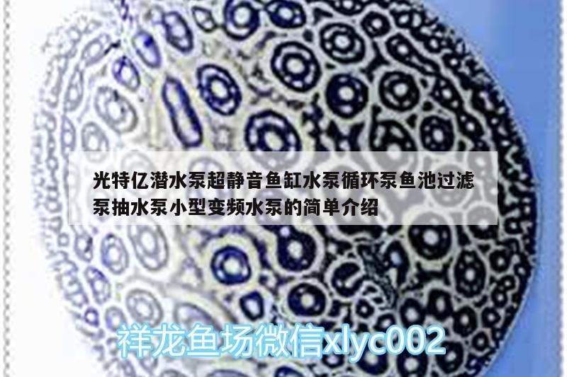 光特億潛水泵超靜音魚缸水泵循環泵魚池過濾泵抽水泵小型變頻水泵的簡單介紹 光特億潛水泵超靜音魚缸水泵循環泵魚池過濾泵抽水泵小型變頻水泵的簡單介紹 光特億