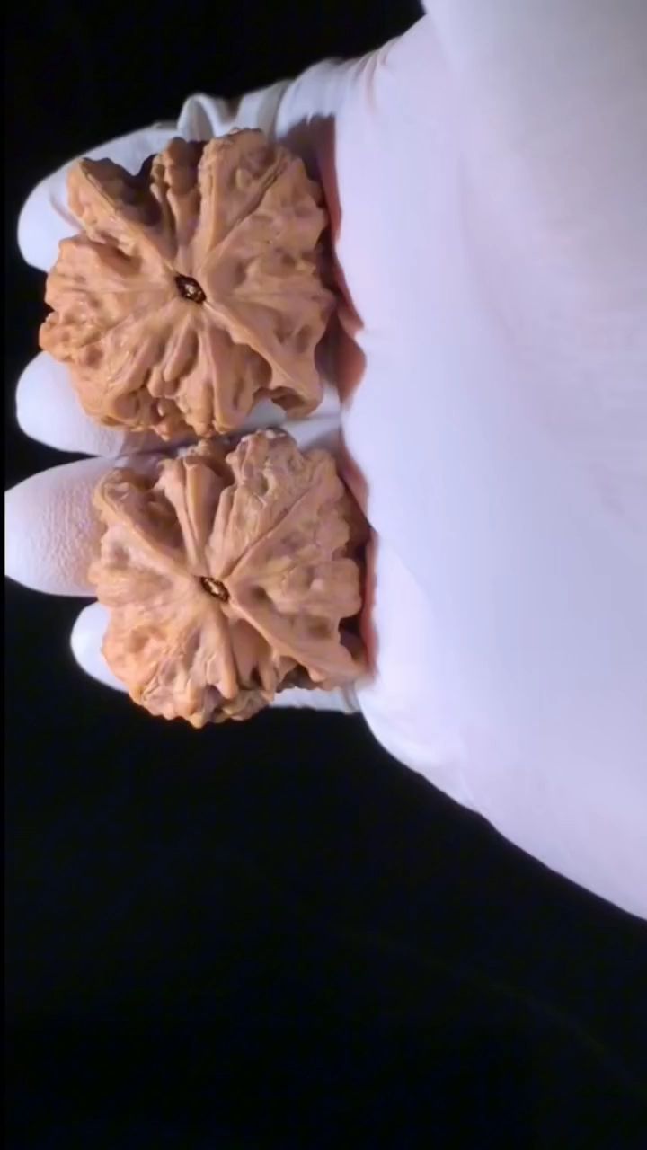 極致?薊縣玉玲瓏核桃