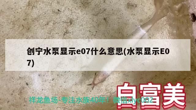 創(chuàng)寧水泵顯示e07什么意思(水泵顯示E07)