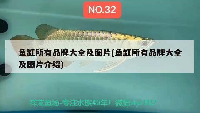 魚缸所有品牌大全及圖片(魚缸所有品牌大全及圖片介紹)