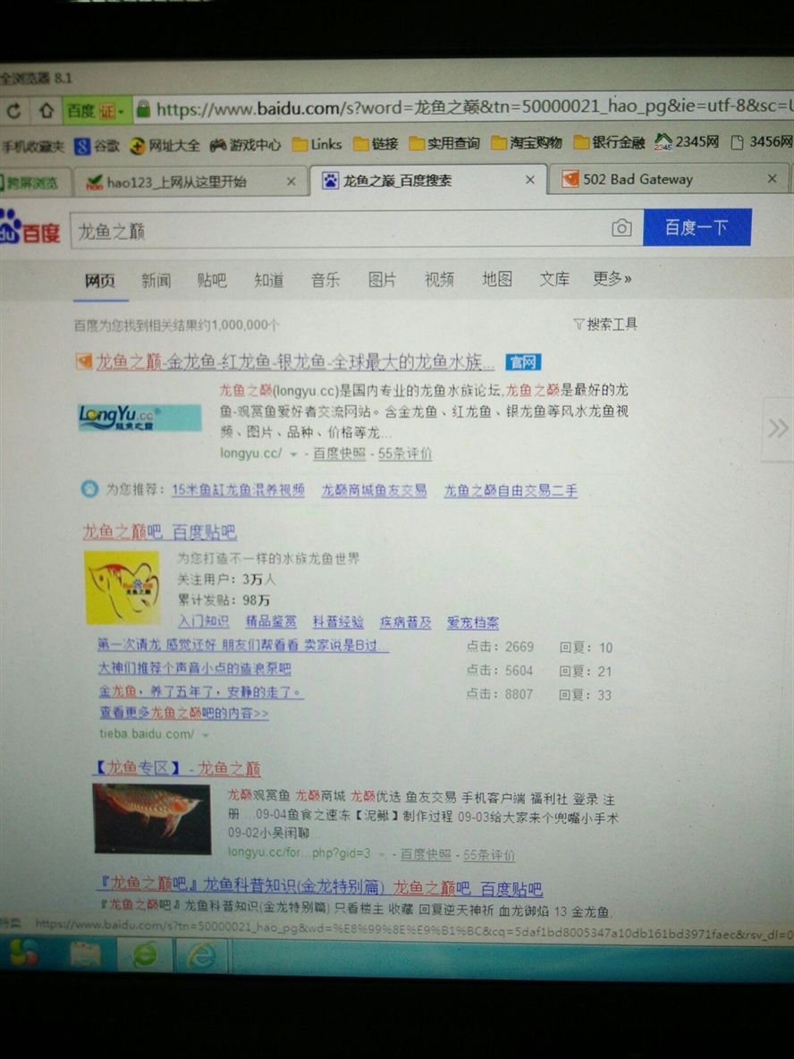 龍魚之巔網絡有問題了 龍魚之巔網絡有問題了 黃金貓魚百科 第1張