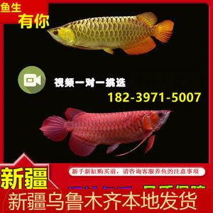 魟魚最便宜的品種是什么魚：魟魚的價格主要取決于其品種、產地等因素及產地等因素
