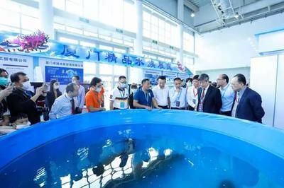 2024年山東水族展會時間表：關(guān)于2024年山東水族展會時間表的信息和地點 2024年山東水族展會時間表：關(guān)于2024年山東水族展會時間表的信息和地點 魚缸百科 第1張