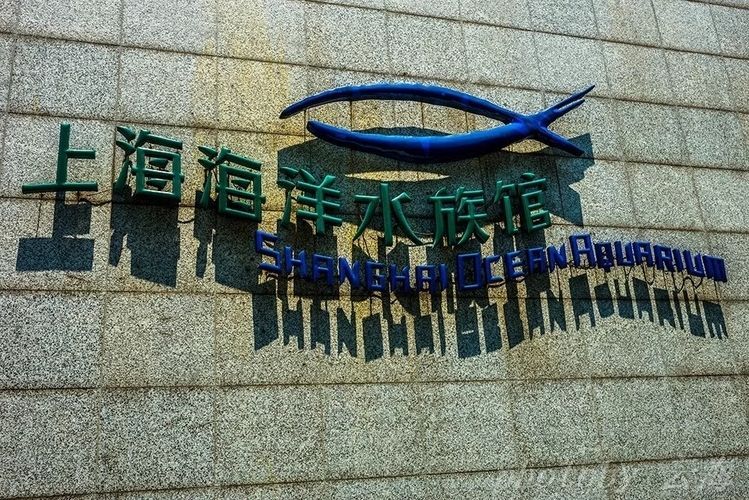 水族館價格表最新（上海海洋水族館價格表）