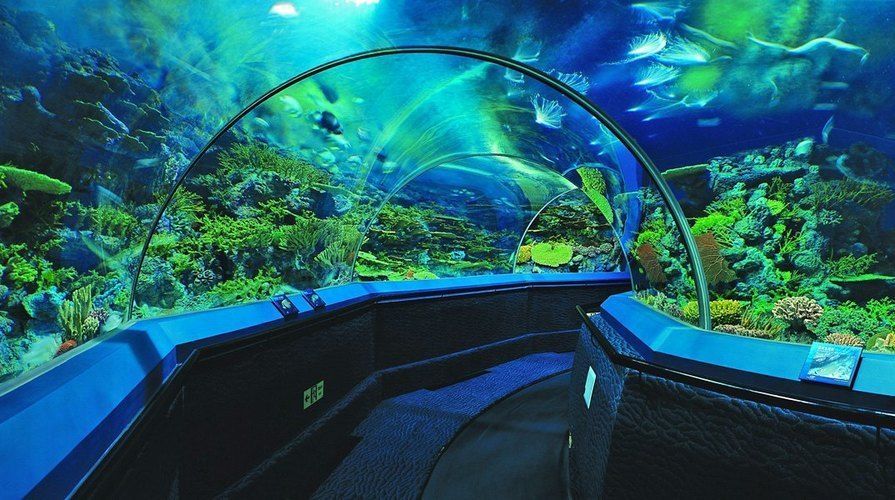 水族館價格表最新（上海海洋水族館價格表）