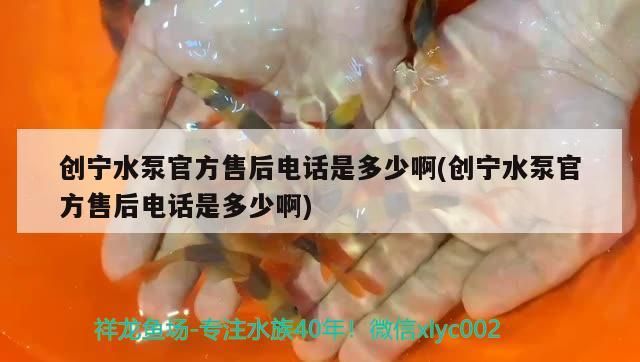 創寧水泵官方售后電話是多少啊(創寧水泵官方售后電話是多少啊)