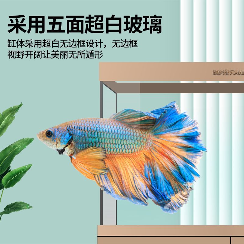 博特魚缸換水時間怎么調整：博特魚缸換水時間怎么調整博特魚缸換水時間調整 博特魚缸換水時間怎么調整：博特魚缸換水時間怎么調整博特魚缸換水時間調整 博特水族 第3張