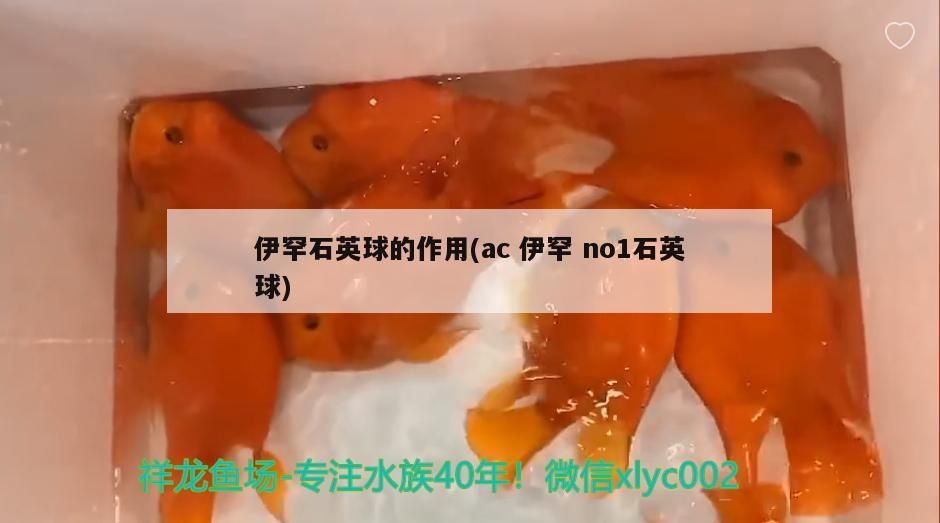 魚缸過濾器選購指南:自制魚缸過濾器魚缸上置過濾器對于養魚愛好者的必備知識 伊罕石英球的作用(ac伊罕no1石英球) 伊罕水族 伊罕石英球的作用(ac伊罕no1石英球) 伊罕石英球的作用(ac伊罕no1石英球) 伊罕水族