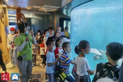 水族館里面有什么：水族館展示海洋哺乳動物的絕佳場所